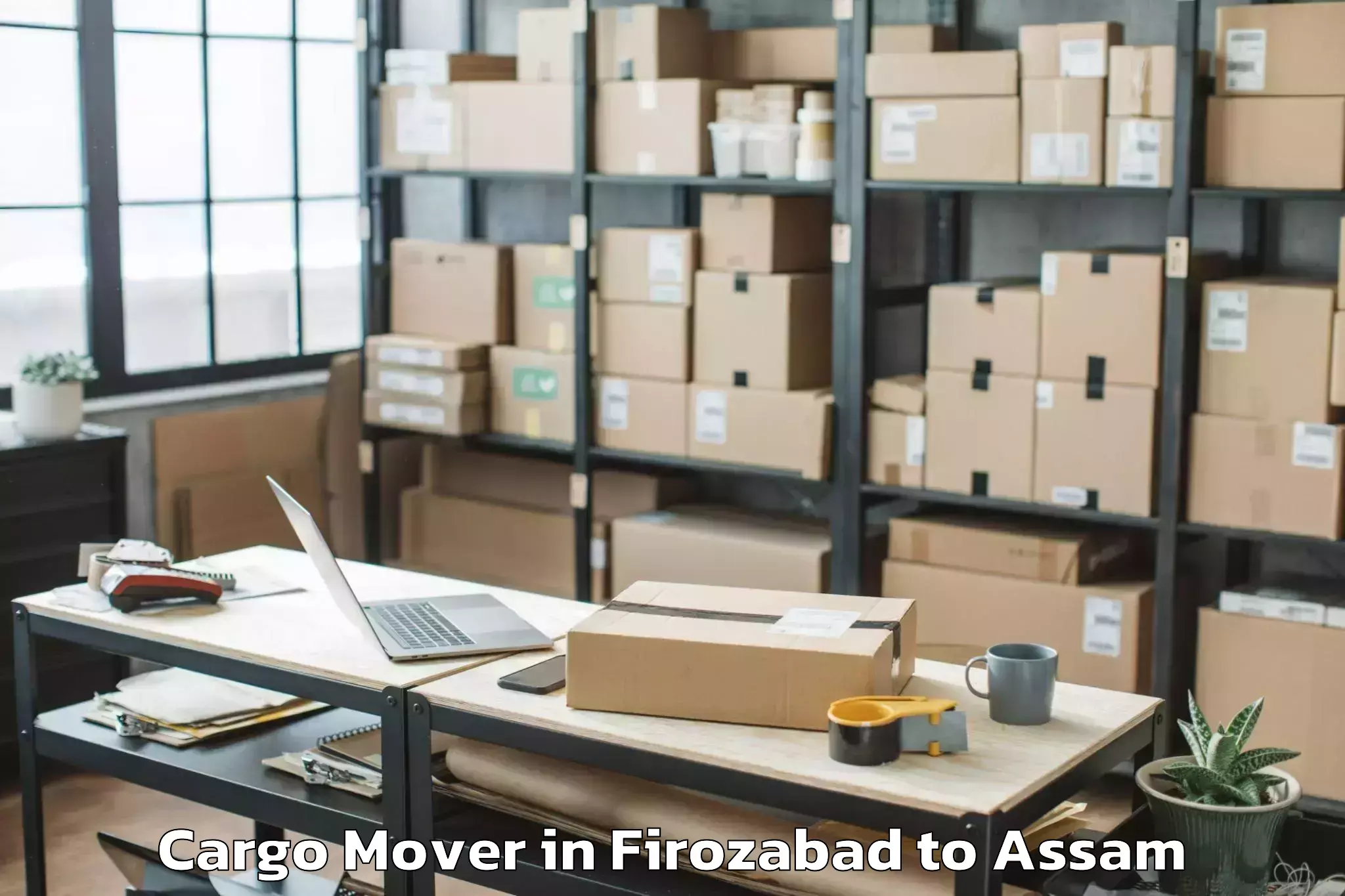 Top Firozabad to Dhekiajuli Cargo Mover Available